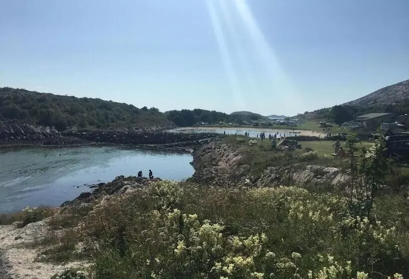 Aamiaismajoitus (B&B) Torgarhaugen