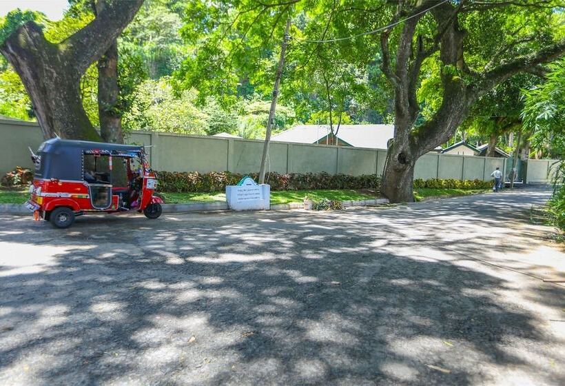 ベッドアンドブレックファースト Janali Homestay