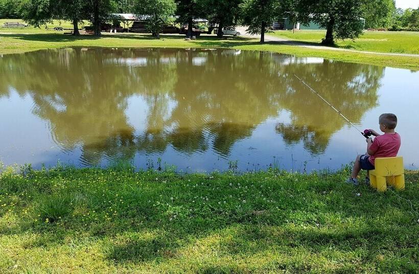 Cimarron Secluded Cabin With Fire Pit And Free Firewood By Redawning