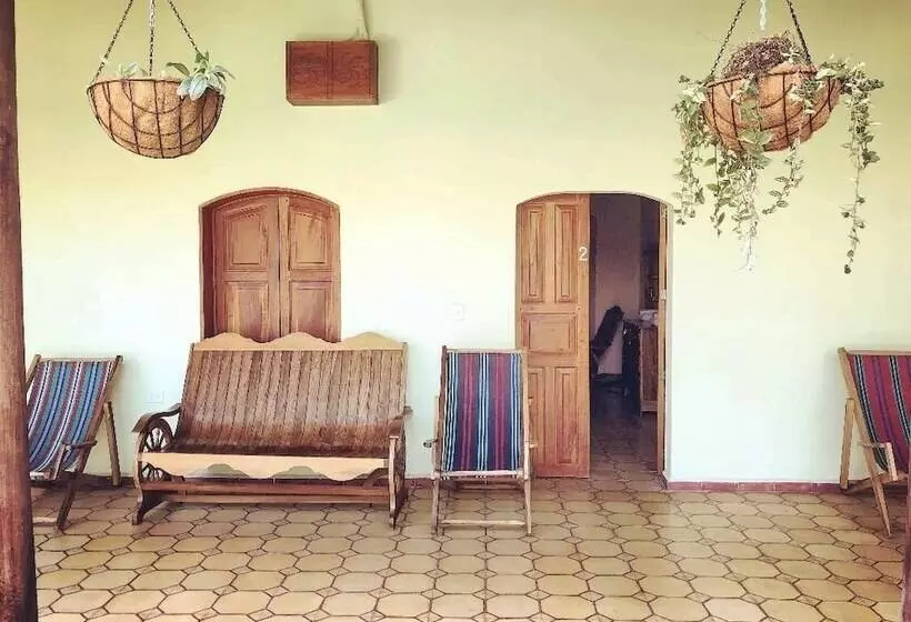 Hostelli Vegas Grandpa