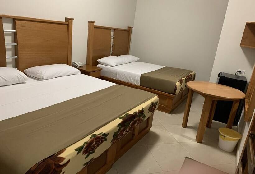 Отель Del Angel Centro