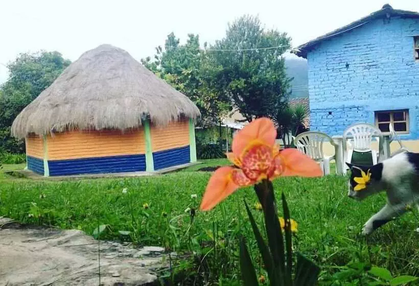 ホテル Hostal Casa Aida