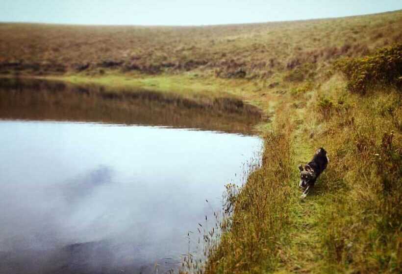 Hotel Hostal Casa Aida