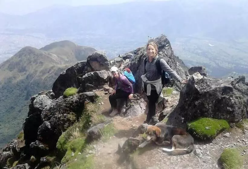 ホテル Hostal Casa Aida