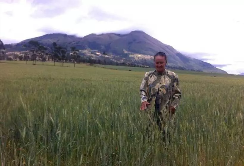 ホテル Hostal Casa Aida