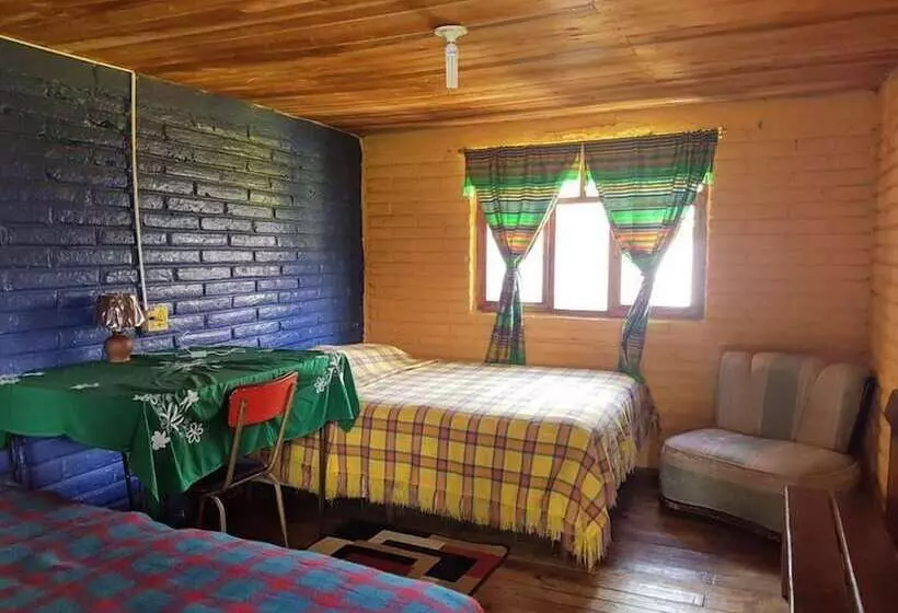 ホテル Hostal Casa Aida