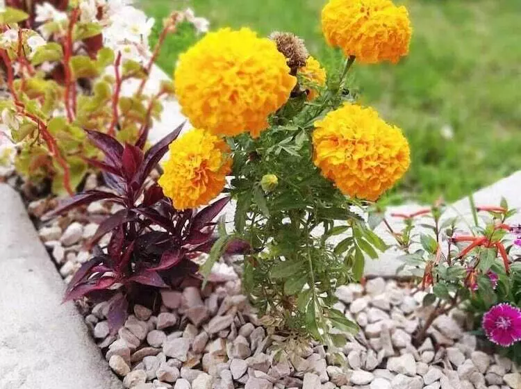 Hotelli Hostal Mariscal Sucre