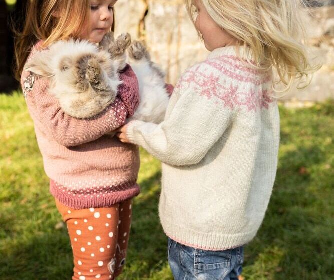 فندق Piltingsrud Gards