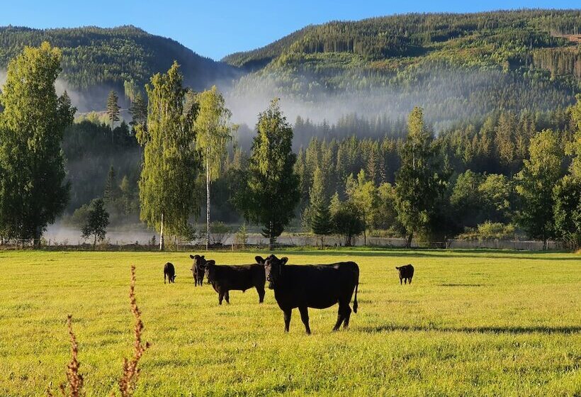 فندق Piltingsrud Gards