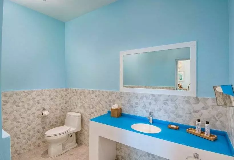 هتل Cane Garden Bay Beach