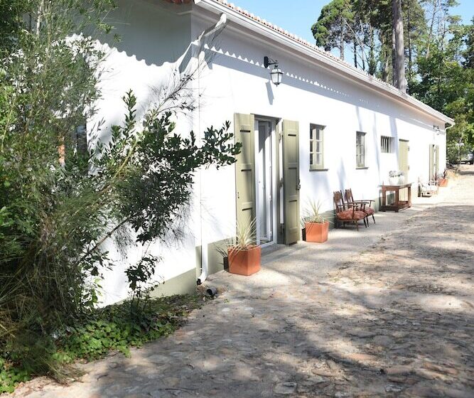 乡村酒店  Vumba   The Alembic