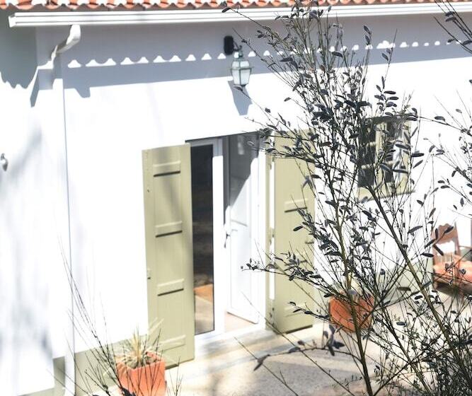 乡村酒店  Vumba   The Alembic