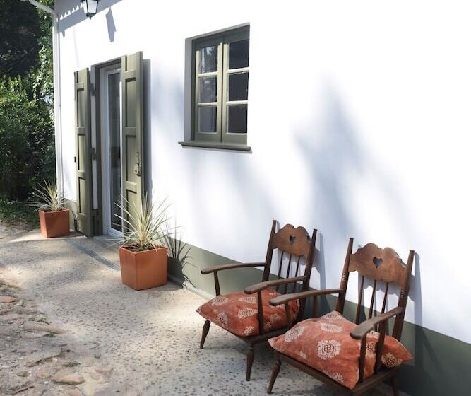 乡村酒店  Vumba   The Alembic