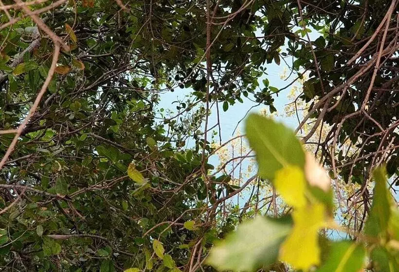 Theodos Lodge Hotel By Hansa