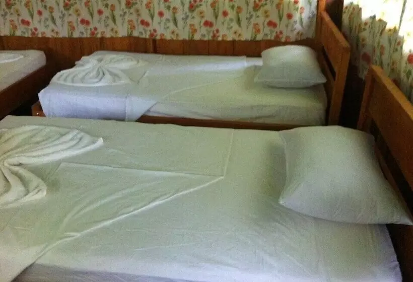 Hotel Wild Amazon Experience Eirl