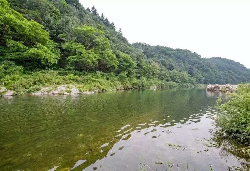 Mare Pension