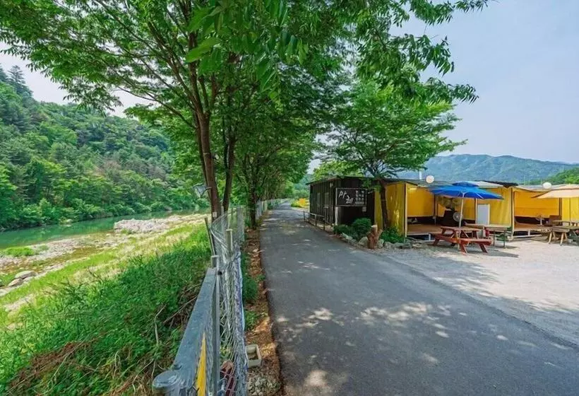 Mare Pension