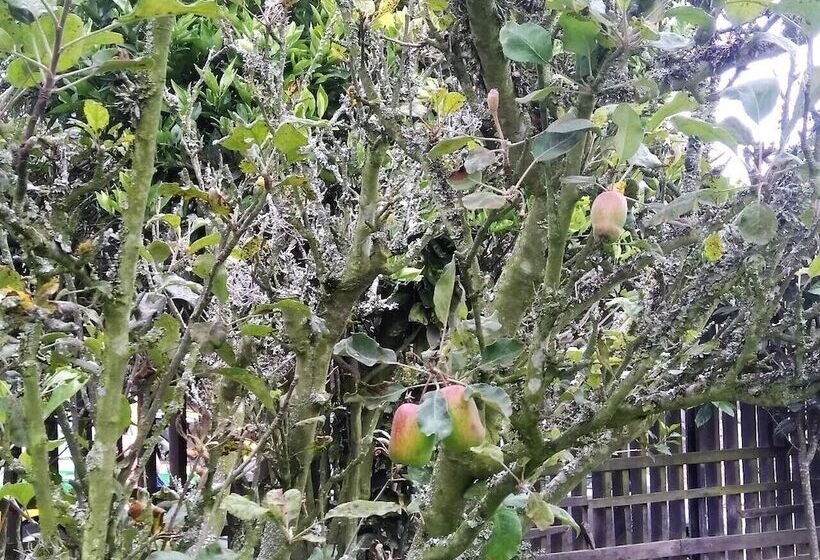 Pension Chesters B&b