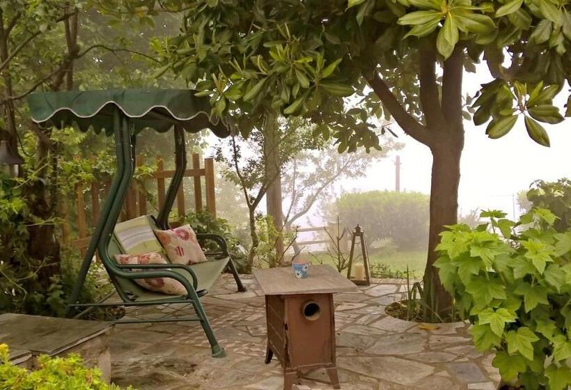 بنسيون Ellis Full Guest House