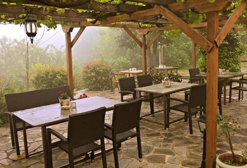 بنسيون Ellis Full Guest House