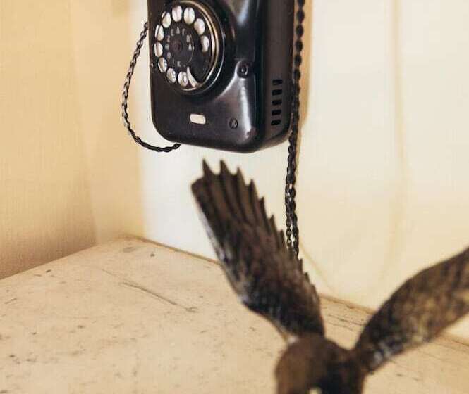 بنسيون Ellis Full Guest House