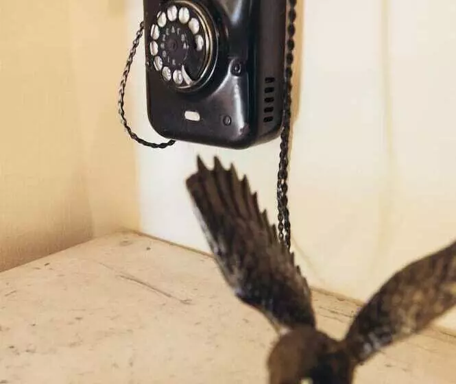 Majatalo Ellis Full Guest House