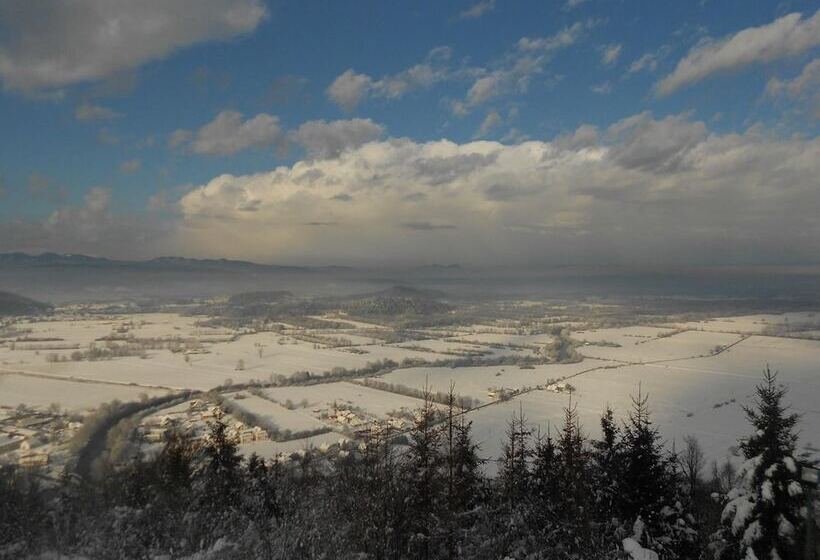 پانسیون Green Point