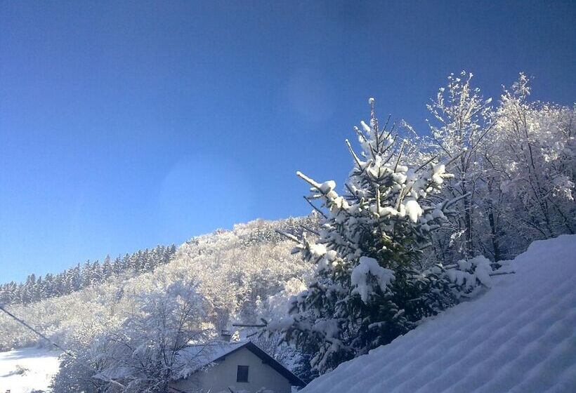 پانسیون Green Point