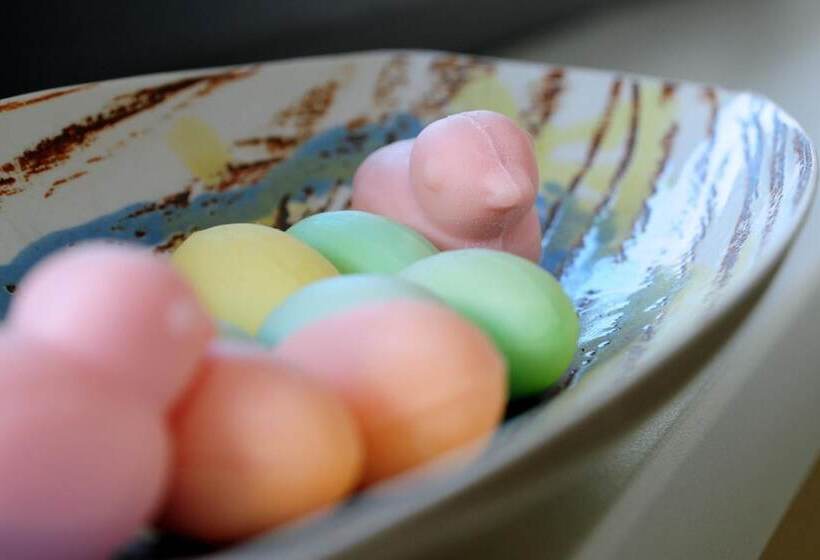 پانسیون Green Point