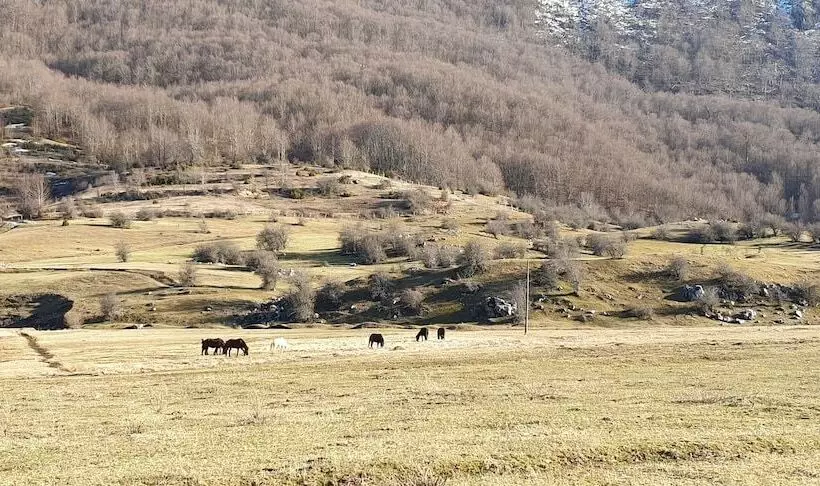 Majatalo Joen Village