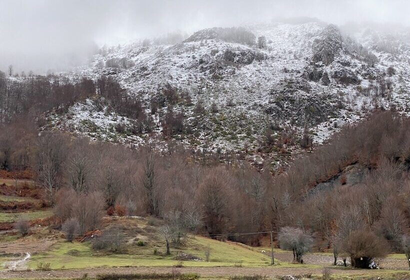 پانسیون Joen Village