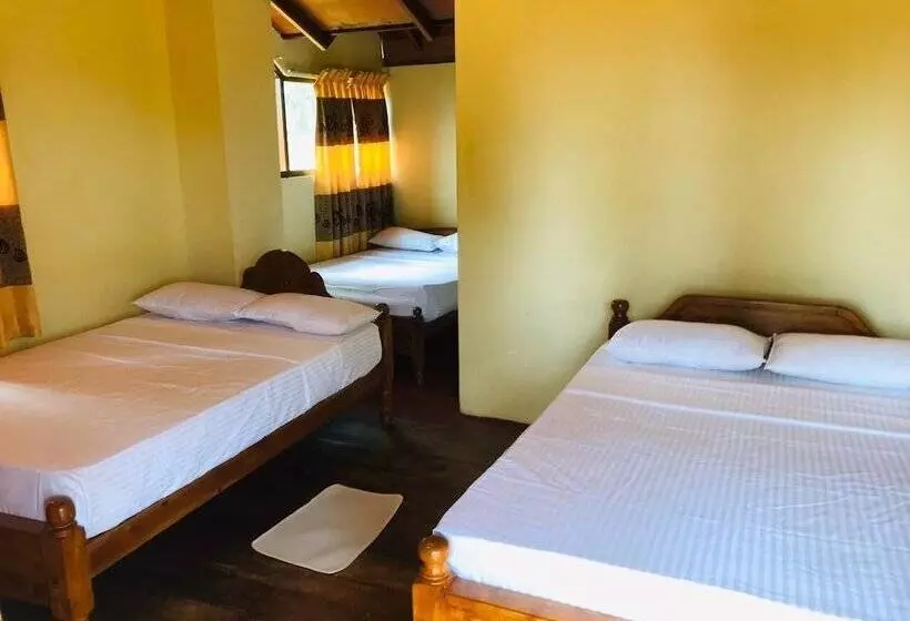 ペンション Kallycave Eco Lodge