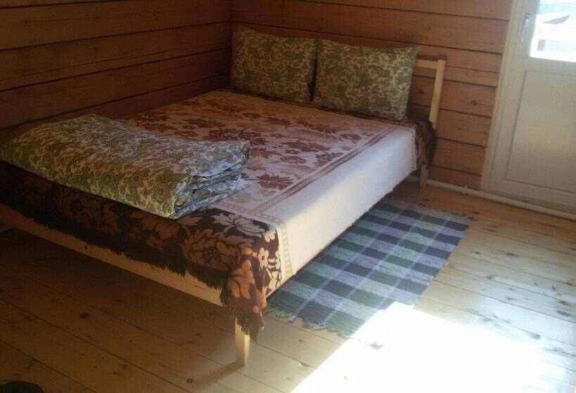 膳宿费 Kedrovy Dom Kochievskih