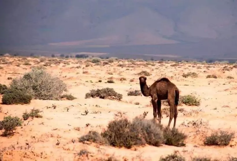 Majatalo Maison L étoile Du Désert