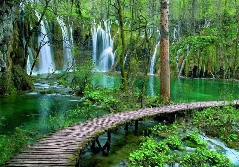 ペンション Plitvice Falls Cottage