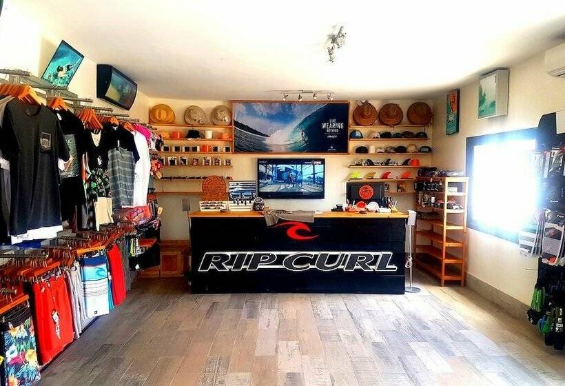 پانسیون Surfer Paradise