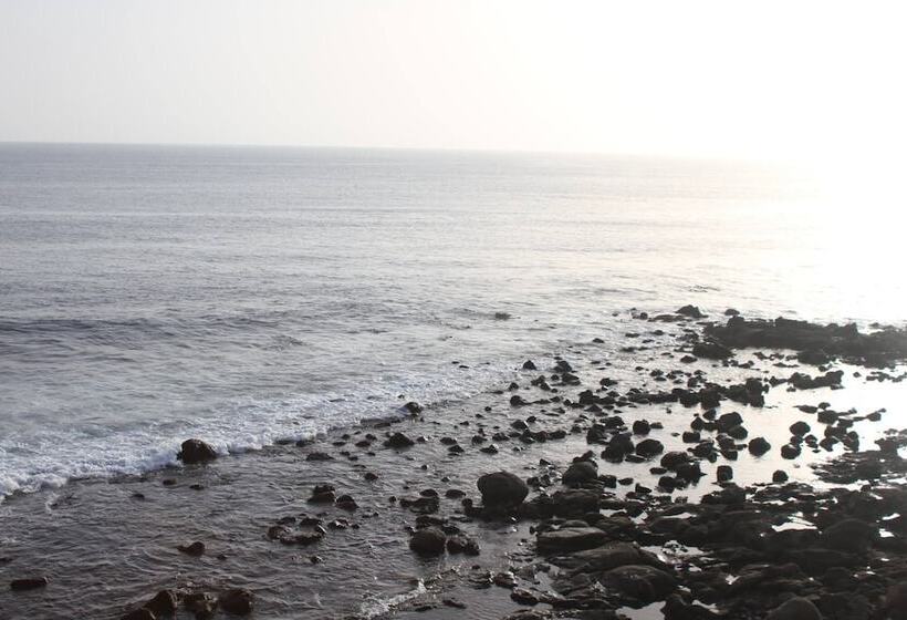 پانسیون Surfer Paradise