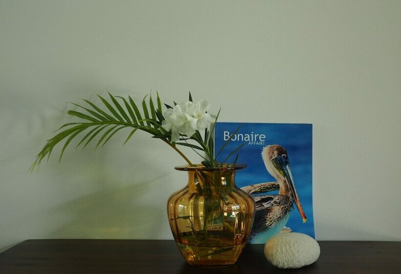 تختخواب و صبحانه Kas Chuchubi