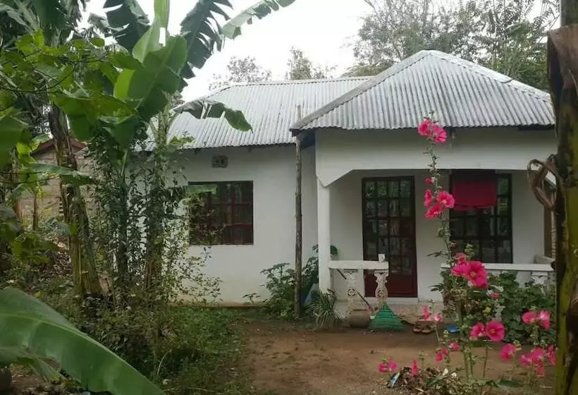 Aamiaismajoitus (B&B) The Maasai Homestay & Safaris