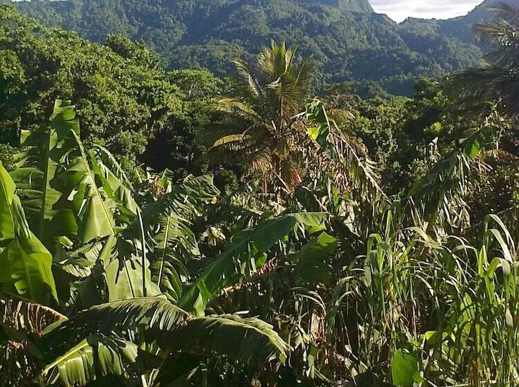 تختخواب و صبحانه Tony & Aldona S Retreat