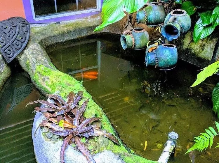 تختخواب و صبحانه Tony & Aldona S Retreat