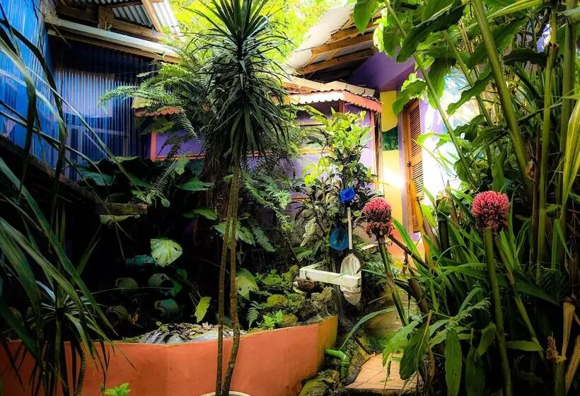 تختخواب و صبحانه Tony & Aldona S Retreat