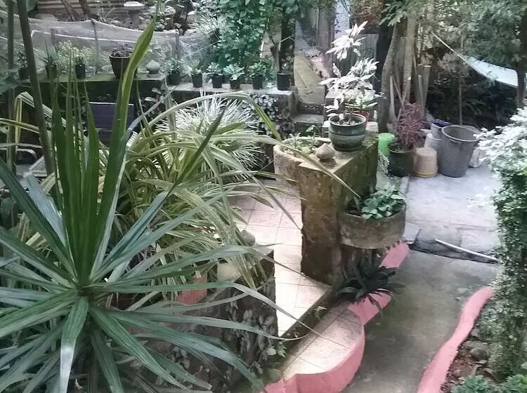 تختخواب و صبحانه Tony & Aldona S Retreat