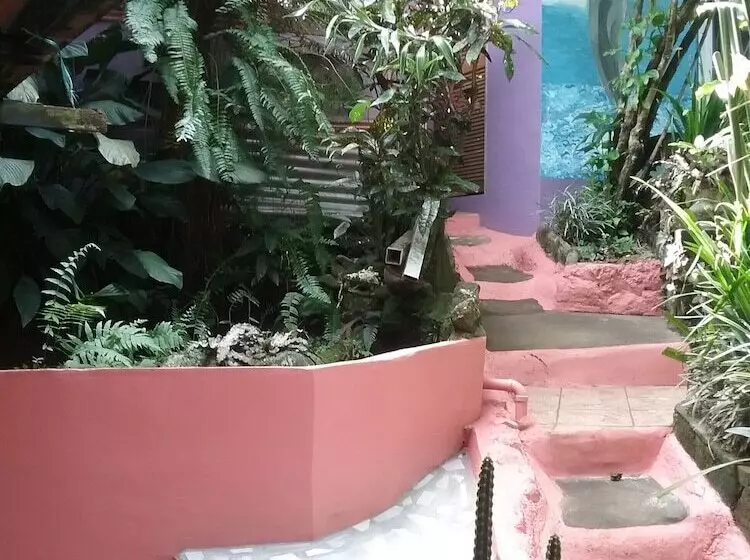 تختخواب و صبحانه Tony & Aldona S Retreat