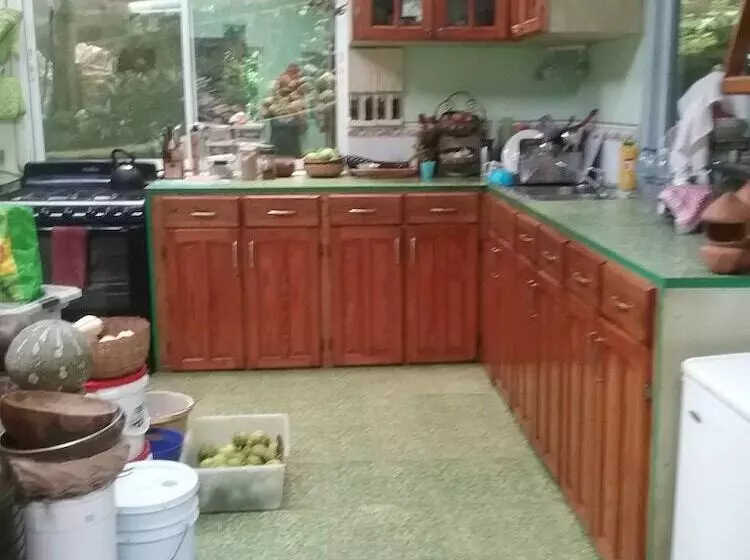 تختخواب و صبحانه Tony & Aldona S Retreat