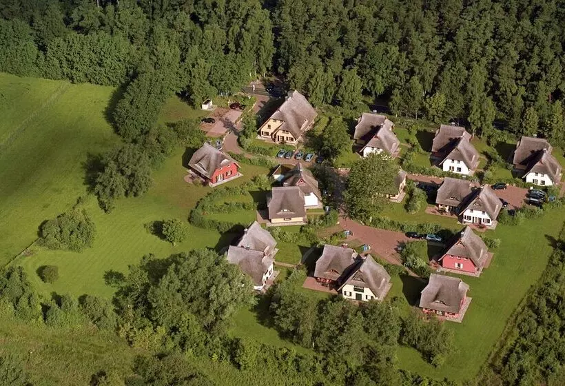 Fischland Ferienhäuser