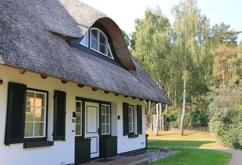 Fischland Ferienhäuser