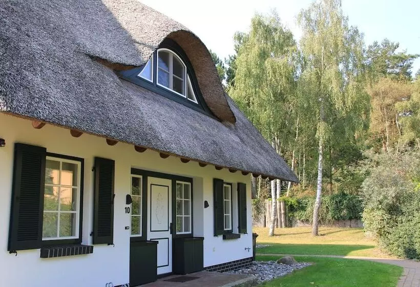 Fischland Ferienhäuser