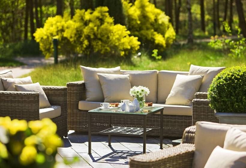 Fischland Ferienhäuser