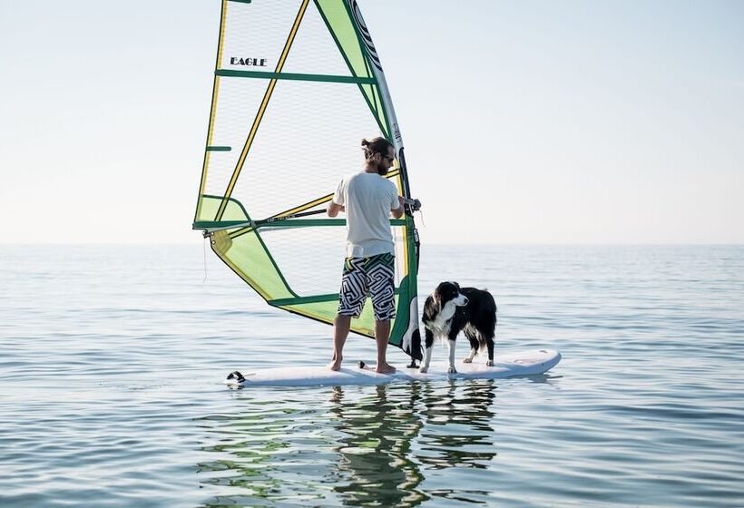 Fischland Ferienhäuser